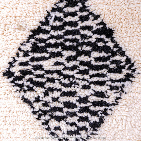 Classic Berber Diamond Rug in Black & White